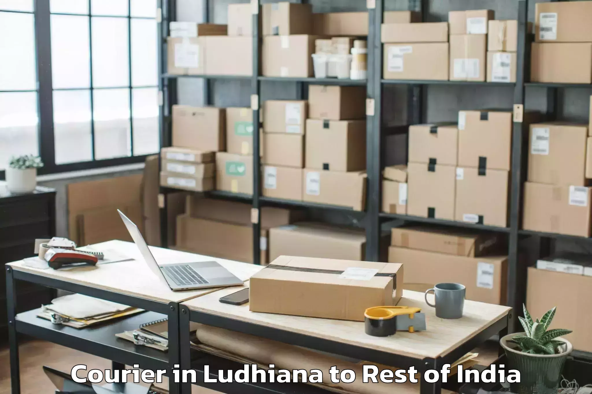 Leading Ludhiana to Athmakur M Courier Provider